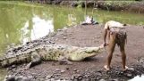 Mijn vriend de krokodil