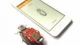 RoboRoach: Μια τηλεκατευθυνόμενη κατσαρίδα