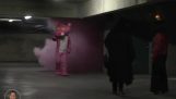 Реми Гайяр: Розовая пантера