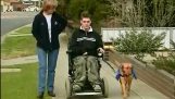 Помощ кучета за хора с увреждания