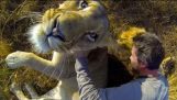 Abbracci con leoni