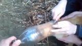 搶救一隻狗從一個塑膠瓶