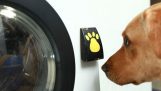 Washing machine for dogs