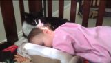 Mačku okupati bebu