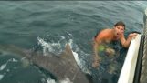 Γλίτωσε τελευταία στιγμή από επίθεση καρχαρία