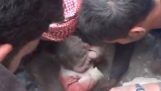 シリアでの瓦礫の下に生きて発見赤ちゃん