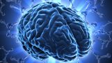 7 Mythen über das menschliche Gehirn