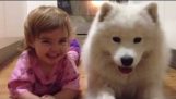 Samoyed puppy and baby
