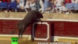 Raging toro carga en multitud hiriendo a 40 en la corrida de toros