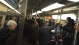 หนูในรถไฟใต้ดิน