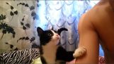 Kočka vyžaduje laskání