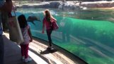 Little Girl and Sea Lion play tag. Sea Lion worried about Little Girl.