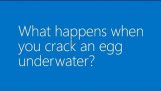 Pękanie jajko pod wodą