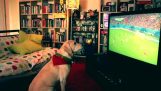 Pes slaví gól na Mistrovství světa ve fotbale!