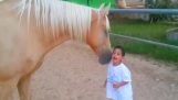 एक घोड़ा एक विशेष बच्चे को पूरा करता है