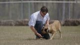 Soldato adotta il cane che ha salvato la vita