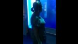 Aquarium shark attacks woman