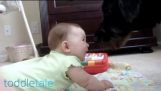ほえる犬を赤ちゃん笑う