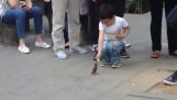 Oiseaux formés collecter de l'argent dans la rue