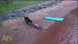 救助犬差し迫った水の楽しみから子供を救う