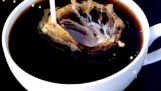 Effekten av kaffe på våra hjärnor