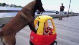 Når din hund trækker ud ride…