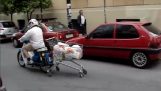 Hvordan vil du transportere supermarkedet shopping med motorcykel;