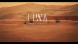 Google Maps palkkasi kamelin tehdä Arabia Valokuvat