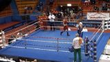 Boxer was offended by the referee and beat him in the ring