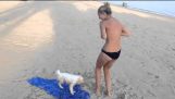 Bikini fail feat cute puppy