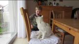 Boy Gets Bit by Cat While Petting