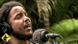 Redemption Song | Playing For Change | Song Around The World