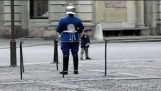 En liten gutt paraderte foran den kongelige vakt