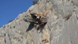 Felssturz in neuen Klettergarten in Chulilla
