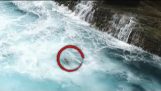 Drone Captures záchrana psa smeten Cliffs, Ponořit do drsné vody