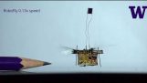 第一无线飞行机器人昆虫起飞
