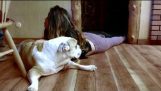 Una Adolecente y su bulldog comparten uno de los momentos más tiernos de sus vidas