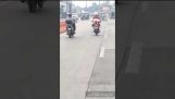 האופנוען מסוכנת נושא הכלב