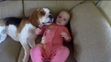 Babysitting dog never had to be taught how to love baby