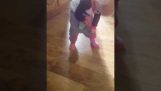Toddler Stuffs Money in Pants and Walks Away