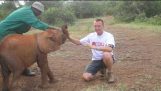 Baby elefant interview