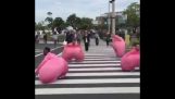 Mannen in roze kostuums springen