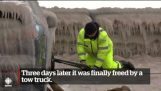 Congelate auto eliberat de un camion de remorcare