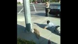Nevinný muž odmítá odeslat leží dole i s zbraně ukázal na něj