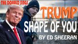 Donald Trump Singing Shape of You by Ed Sheeran