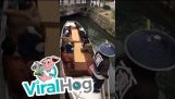 Canal Boat Ninja