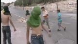 Palestinians children and teenagers throwing stones at a Jews cars and knocked down