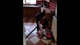 Et barn prøver å slå støvsugeren