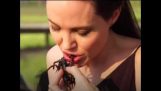 Η Αντζελίνα Τζολί μαγειρεύει και τρώει αράχνες κι έντομα με τα παιδιά της