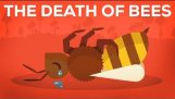 De dood van bijen uitgelegd-parasieten, GIF en mens